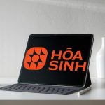 Sản phẩm 10 - Ảnh 12